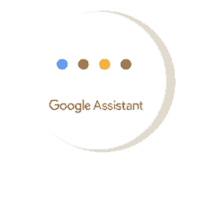 assistant google