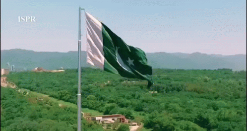 Animated Pakistan Flag GIFs | Tenor