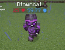 a purple minecraft character is standing in the grass with a heart .