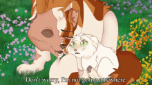 Warrior Cats Dont Worry GIF - Warrior Cats Dont Worry Im Not Going Anywhere GIFs