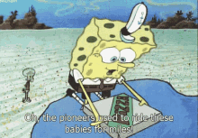 Spongebob Pioneers Used To Ride These Babies For Miles GIF - Spongebob Pioneers Used To Ride These Babies For Miles GIFs