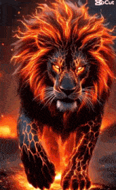 a lion with a fire mane is walking through a fire filled forest .