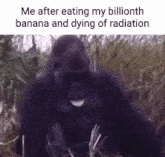 Gorilla Banana GIF - Gorilla Banana Radiation GIFs