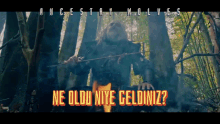 Ancestry Wolves Son Of Ottoman GIF