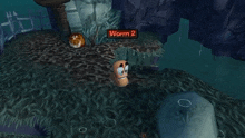 worm 2 is the name of the worm in the video game