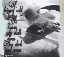Dark Crow GIF - Dark Crow Poem GIFs