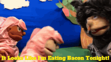 bacon looks