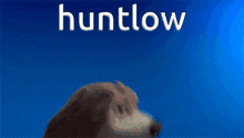 Huntlow The Owl House GIF - Huntlow The Owl House Alpha And Omega GIFs