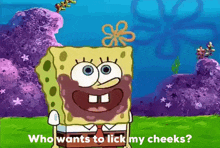 Spongebob Lick My Cheeks GIF - Spongebob Lick My Cheeks GIFs