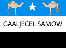 Somalia Gaaljecel Samow GIF