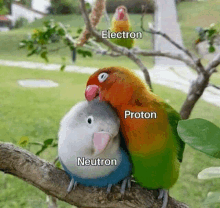 Physics Meme GIF