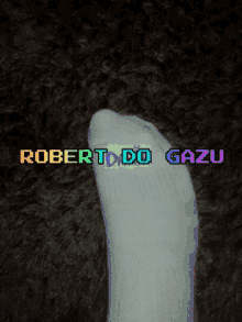 Robert Stoparoberta GIF - Robert Stoparoberta Stupkaroberta GIFs