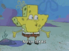 No, I'M Texas! GIF - Spongebob Stupid Texas GIFs