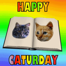 Happy Caturday Happy Saturday GIF - Happy Caturday Happy Saturday Happy Weekend GIFs
