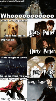 Harry Potter Who Is Harry Potter GIF