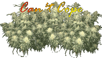 a bunch of marijuana plants with the words " can 't cope " written above them
