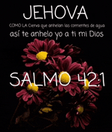 a picture of flowers with the words jehova salmo 42 1 on it