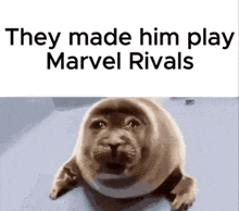 they made him play marvel rivals with a seal on a white background .