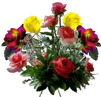 a bunch of flowers including red yellow and pink roses