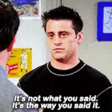 Joey The Way You Said It GIF - Joey The Way You Said It Friends GIFs
