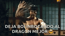 Bruce Lee Dragon GIF - Bruce Lee Dragon GIFs