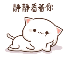 mochi cat