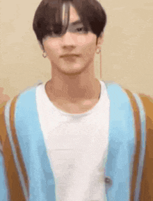 a young man wearing a blue and brown cardigan and a white shirt is looking at the camera .