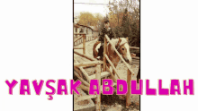 Yavşak Abdullah GIF - Yavşak Abdullah GIFs