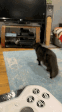 Attack Cat GIF - Attack Cat Kitten GIFs