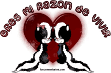 Amor Razon GIF - Amor Razon De GIFs