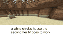 Minecraft Memes White Chicks GIF - Minecraft Memes White Chicks Minecraft GIFs