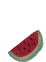 Watermelon Fruit Sticker - Watermelon Fruit Stickers