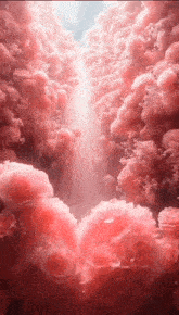 there is a waterfall in the middle of a coral reef filled with jellyfish .