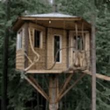 tree house hipster going up