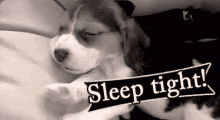 Puppy Sleep Tight GIF - Puppy Sleep Tight Yawn GIFs