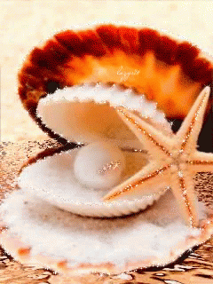 [Image: shell-pearl.gif]