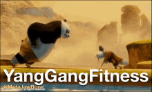 Yang Gang Fitness Kung Fu Panda GIF - Yang Gang Fitness Yang Gang Kung Fu Panda GIFs