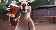 Kangaroo Beer GIF - Kangaroo Beer Cheers GIFs