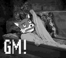 Private Foxes Gm Gm GIF - Private Foxes Gm Private Foxes Gm GIFs