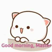 Good Morning Master GIF - Good Morning Master Good Morning Master GIFs