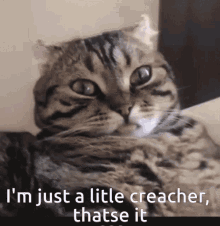 Litle Creacher And They Were Childhood Friends GIF - Litle Creacher And They Were Childhood Friends GIFs