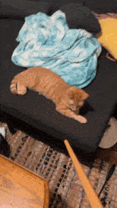 an orange cat is laying on a black couch with a blue blanket