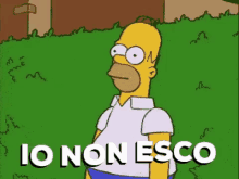Nonesco Simpsons GIF - Nonesco Simpsons Homer GIFs