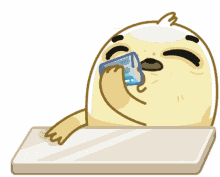 anni seal cute drinking spit