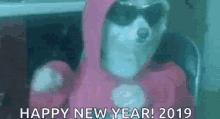 Happy New Year2019 Dog GIF - Happy New Year2019 Dog Dance GIFs