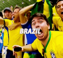 Fans Excited GIF - Fans Excited Brazil GIFs
