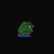 a computer screen displays a picture of a frog with a lot of letters and numbers on it
