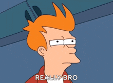 fry from futurama is making a funny face and says " really bro "