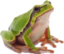 Marcos Frog Sticker - Marcos Frog Frogge Stickers