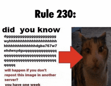 rule 230 : did you know will happen if you do n't repost this image in another server